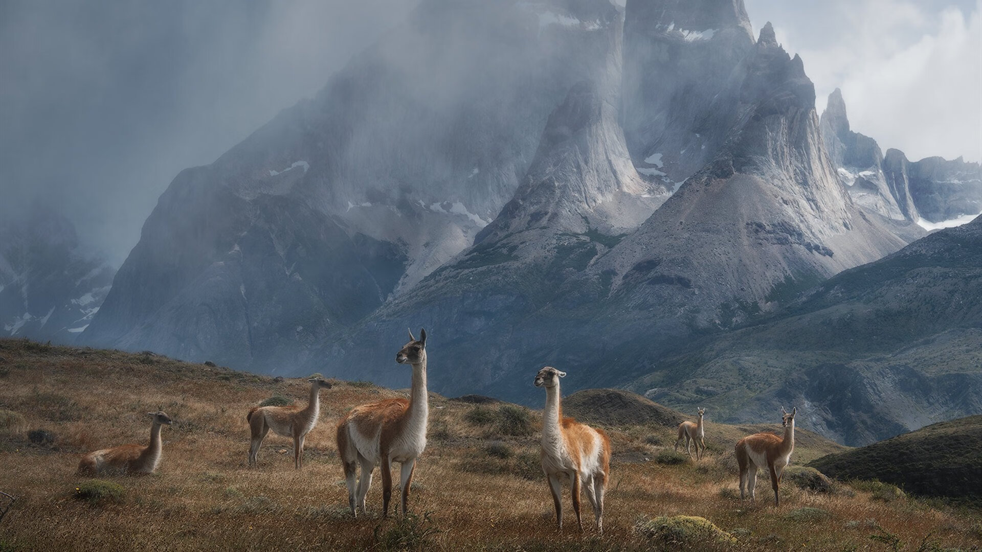 _大自然挑战赛：穿越原始森林的极限探险_，神奇的探险之旅,原始森林
