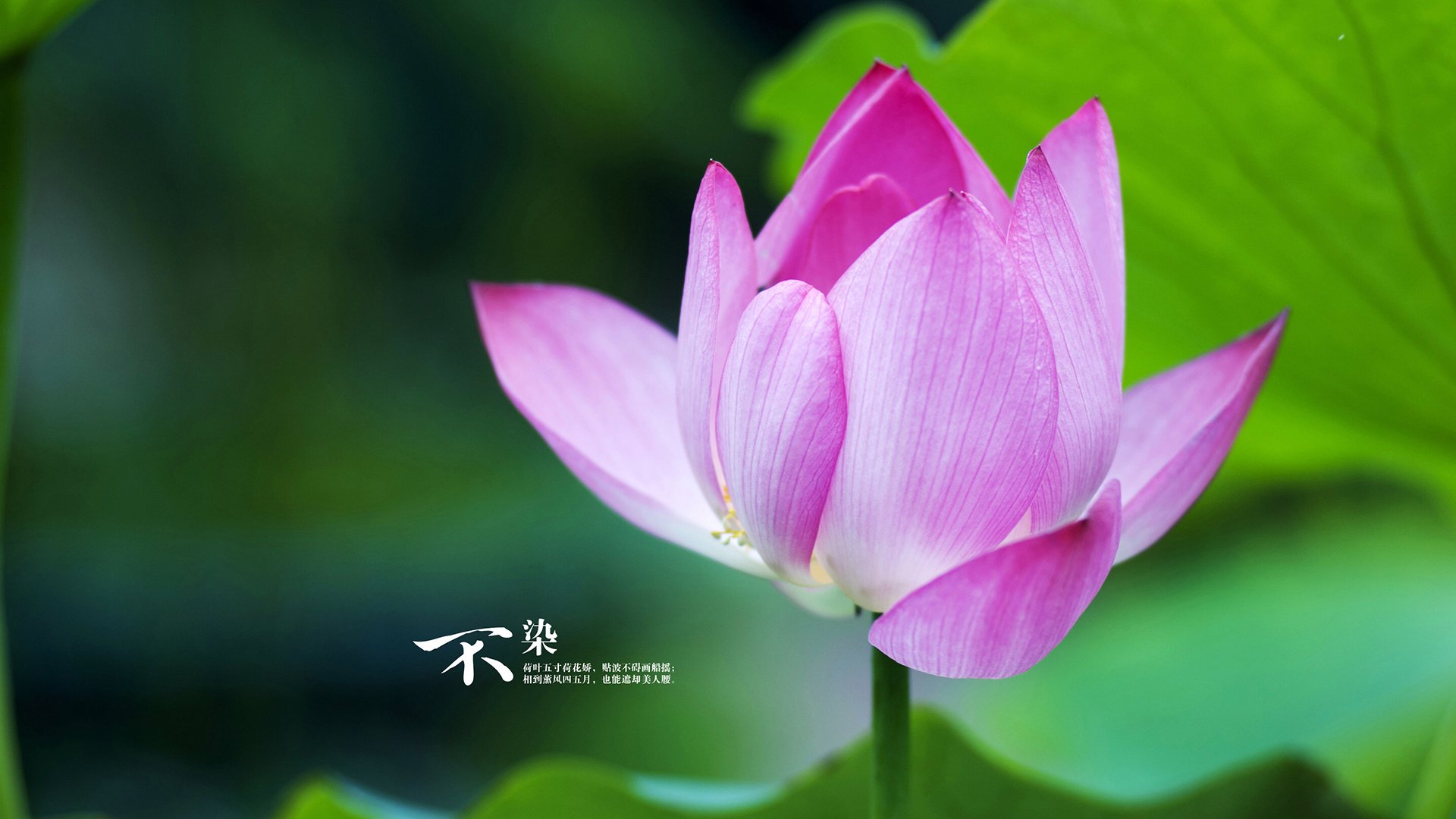 _运动员坚持到底，逆转获胜瞬间感动全场_，一个运动员坚持的励志视频