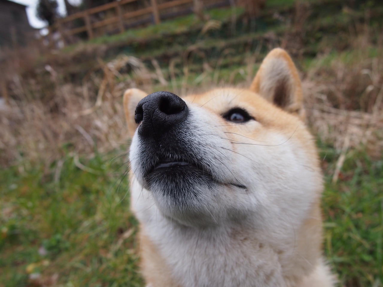 “未来速度，新能源激发新奇迹”——绿色引擎点燃激情赛场，绿色新能源大赛题目
