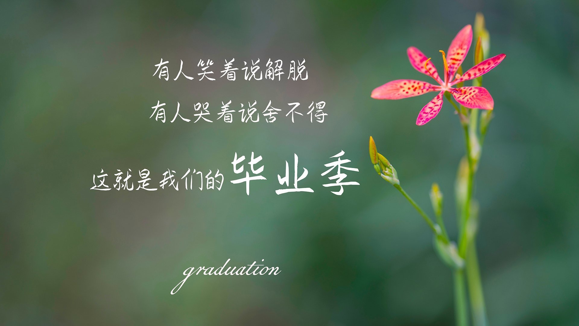 开云·体育官网-“西部冠军悬念升级，几支队伍争夺激烈”，西部冠军角色