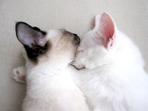 Kaiyun官方登录入口-史上最高潮的季后赛逆转，你还记得哪个瞬间？，史上最高潮的季后赛逆转,你还记得哪个瞬间