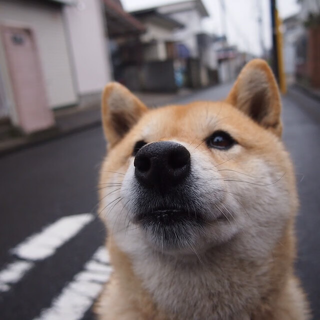 kaiyun.com-新星崭露头角：未来之星的闪耀时刻，未来之星后一句