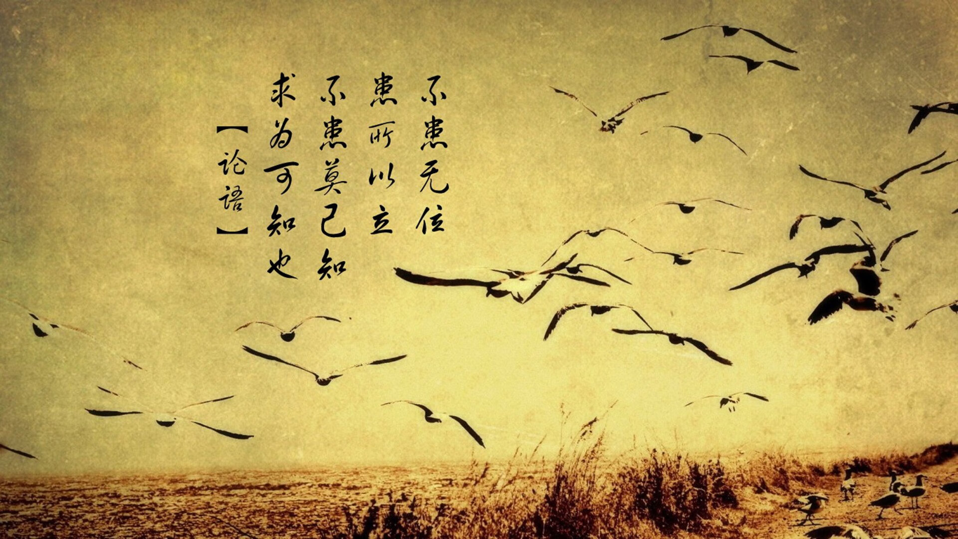 kaiyun中国官方网站-米兰双雄争夺榜首，意甲火药味十足，意甲联赛中的米兰双雄指的是ac米兰和哪支球队