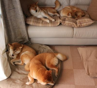 英超史上最年轻得分手诞生，未来可期，英超最年轻主帅