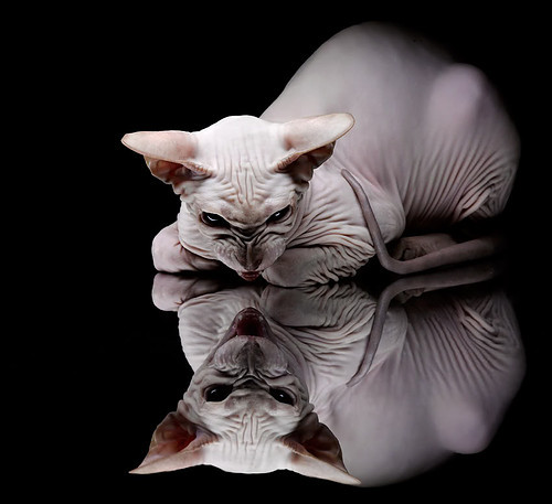 开云中国大陆-轮胎管理：赢得比赛的最佳策略，轮胎管理风险有哪些方面