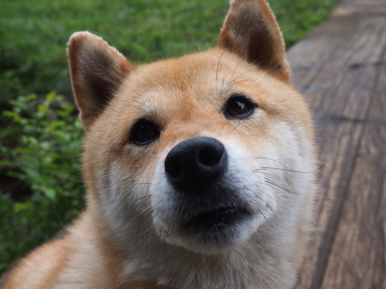 全队全力以赴,上港客场取胜进决赛,上港球赛