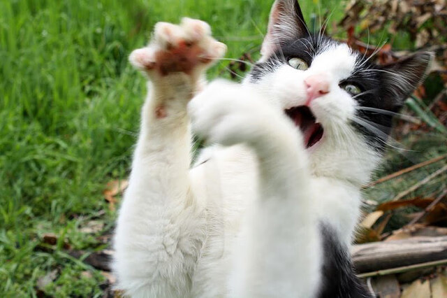 利物浦淘汰拜仁：双方苦战一波三折，利物浦对拜仁的比分