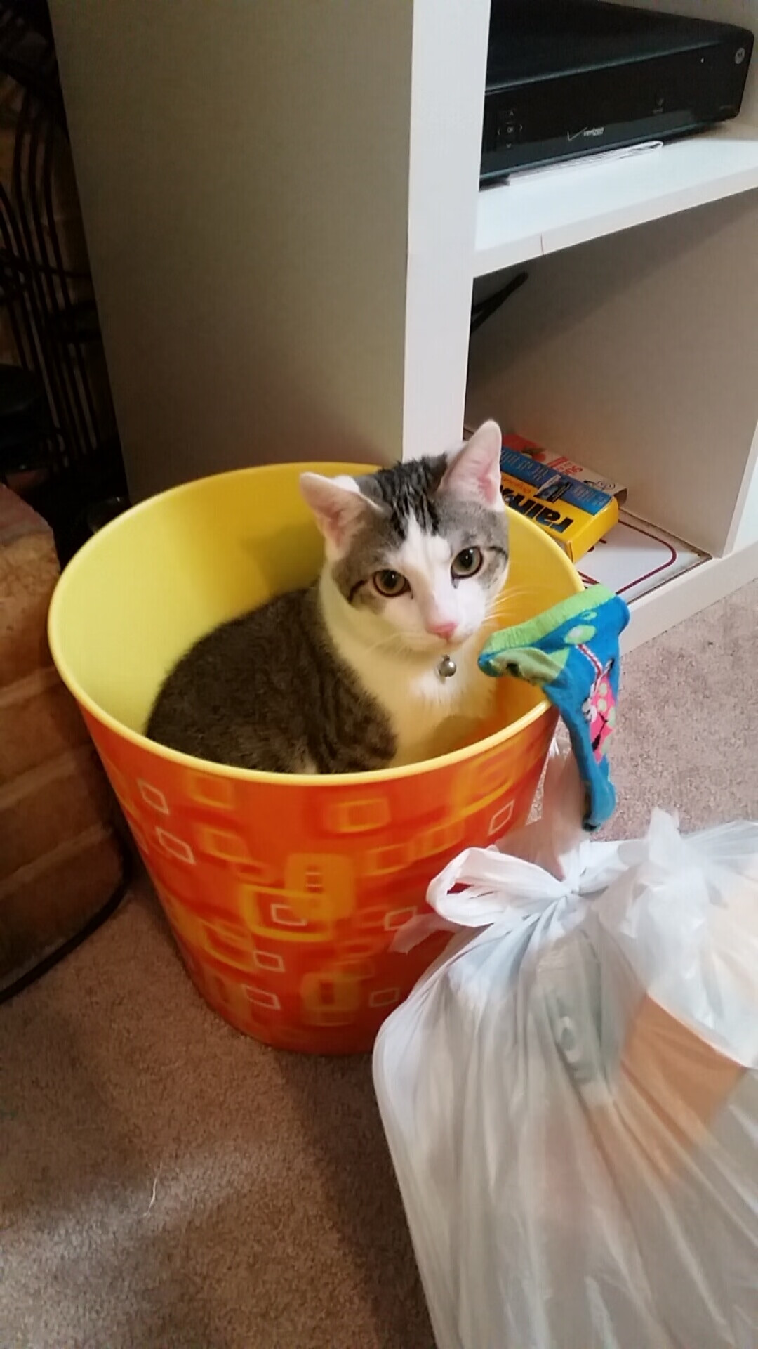 塞维利亚主场2-0战胜赫塔费，继续领跑西甲积分榜，塞维利亚算西甲强队吗