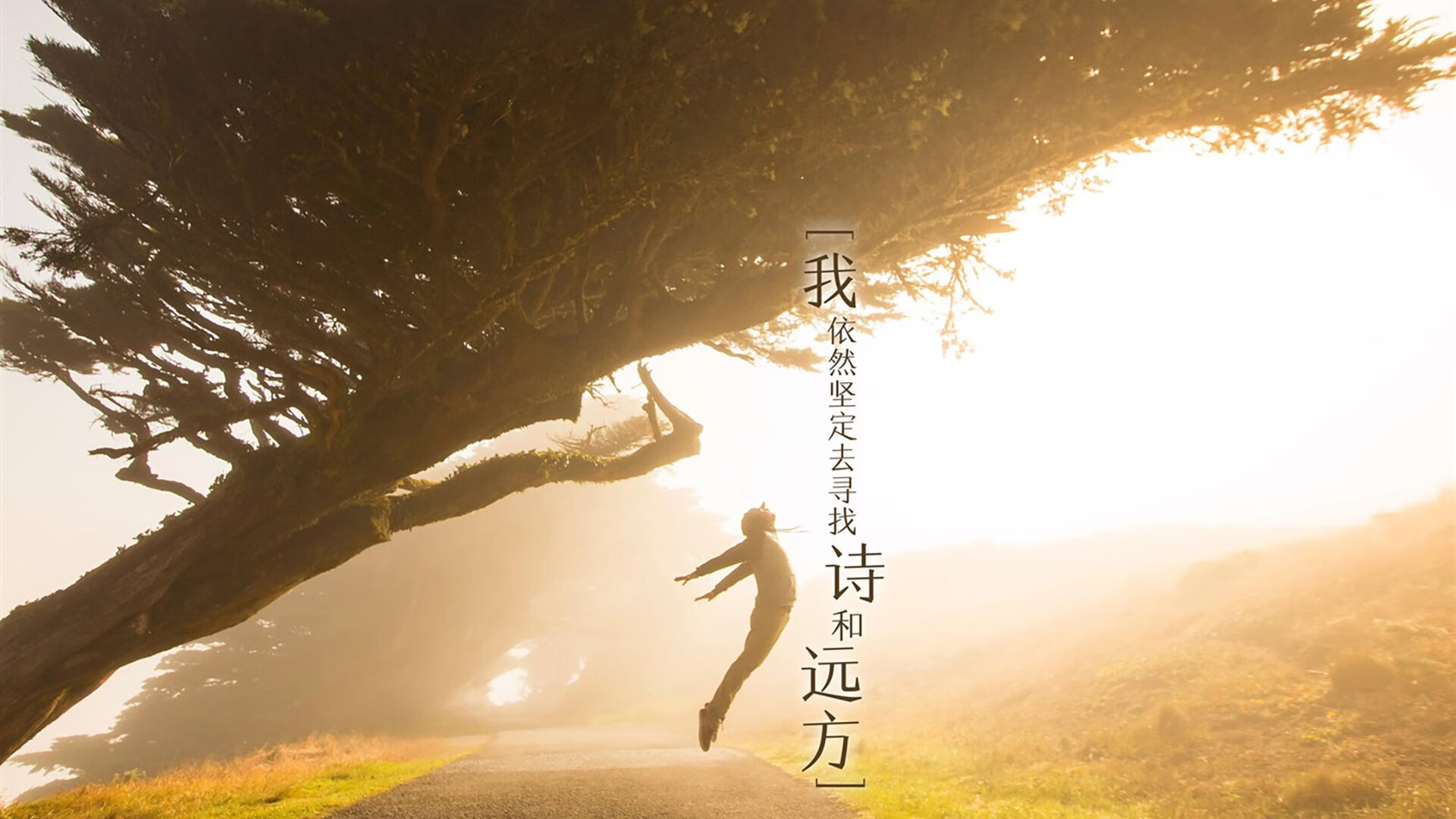 kaiyun中国官方网站-女足世界杯教练组战术调整，女足世界杯亚军教练