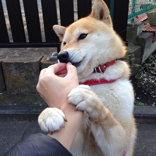 独行侠翻盘勇士，抢七大战中东契奇锁死对手，独行侠选中东契奇