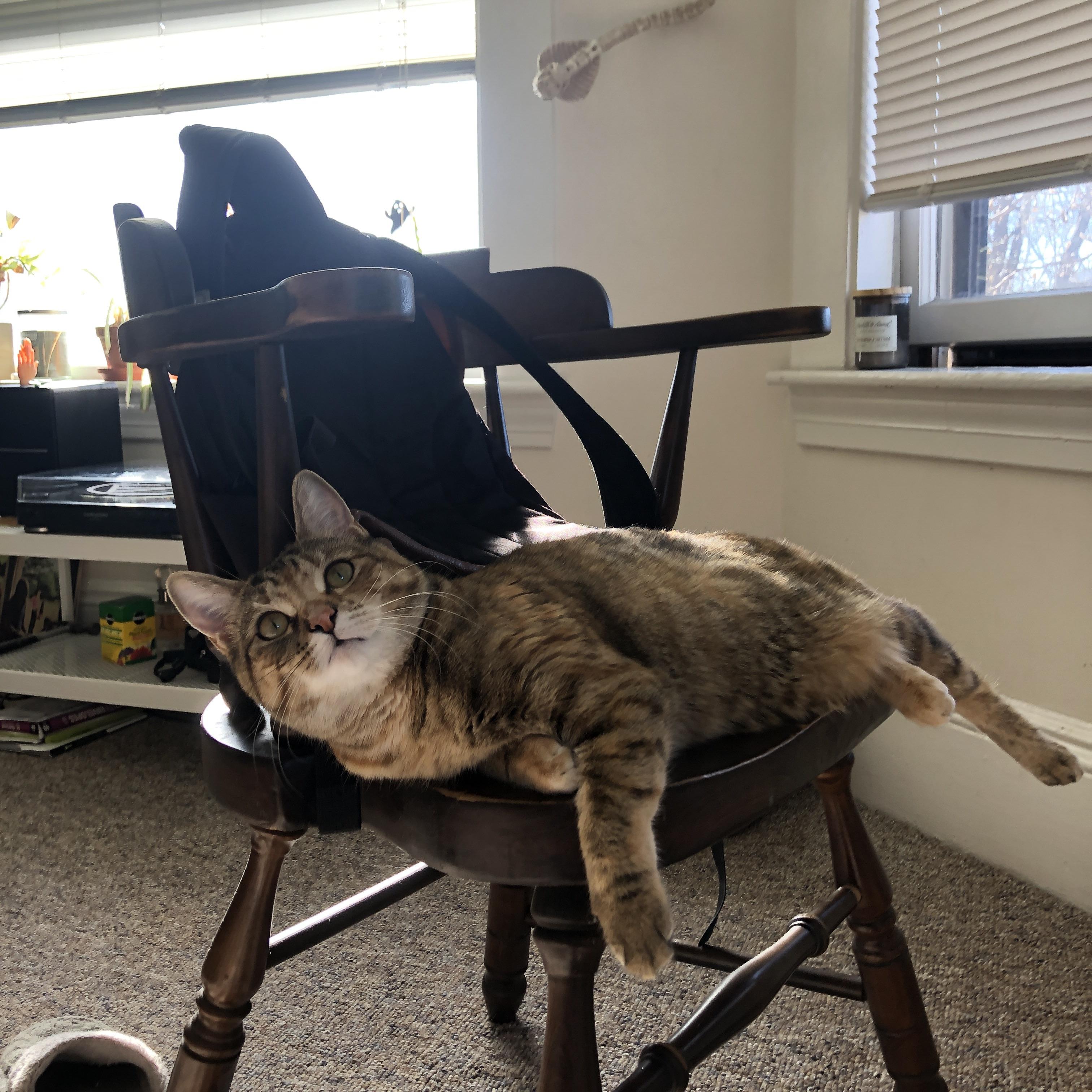 NBA球员职业倦怠现象与应对机制探讨,nba职业球员有多强