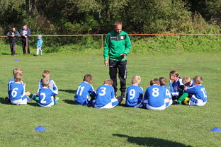 开云平台-中国足球战术模块组合搭配分析，国足战术风格