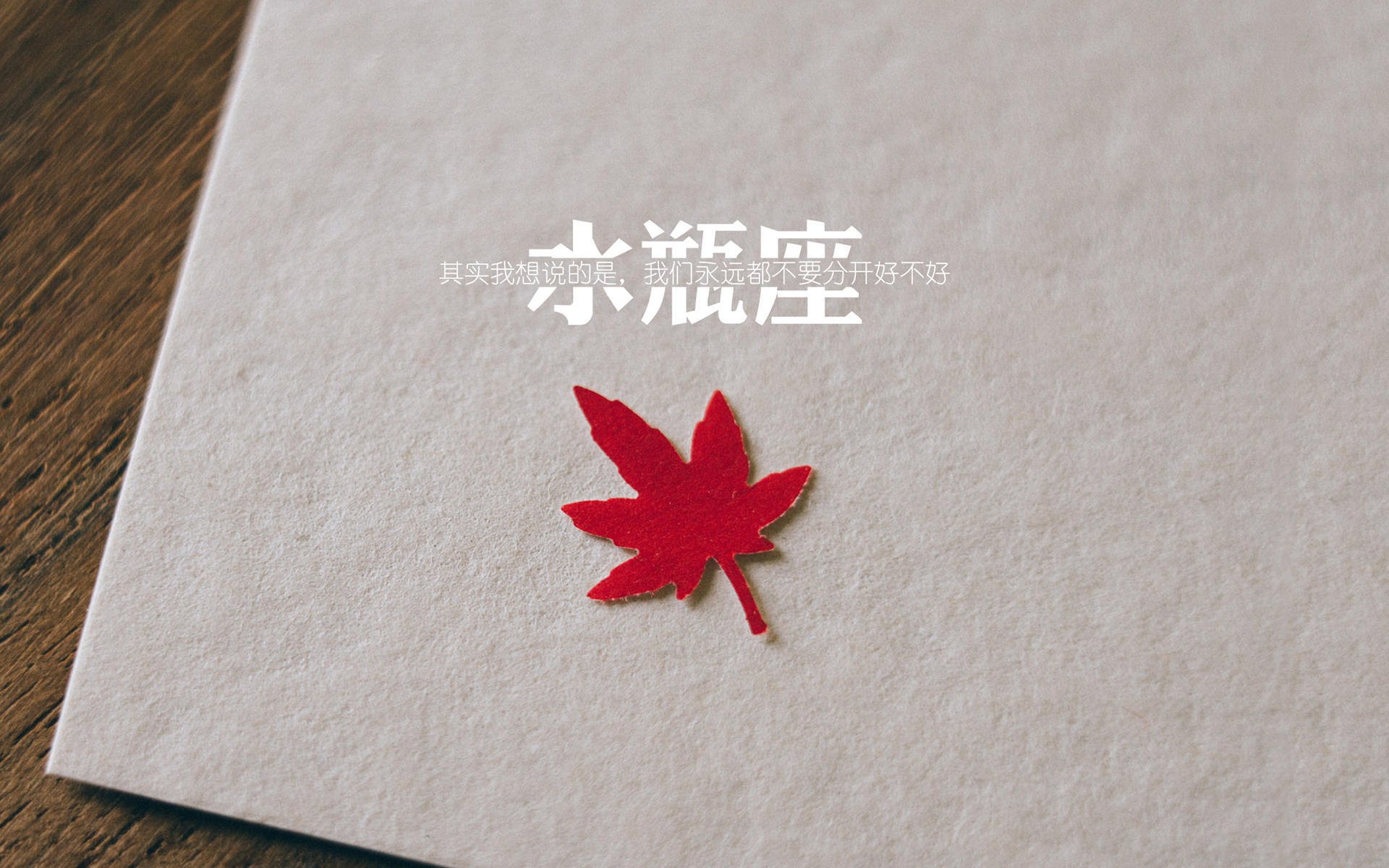 校园体育活动组织创新与实践研究,体育学院活动的创新点子