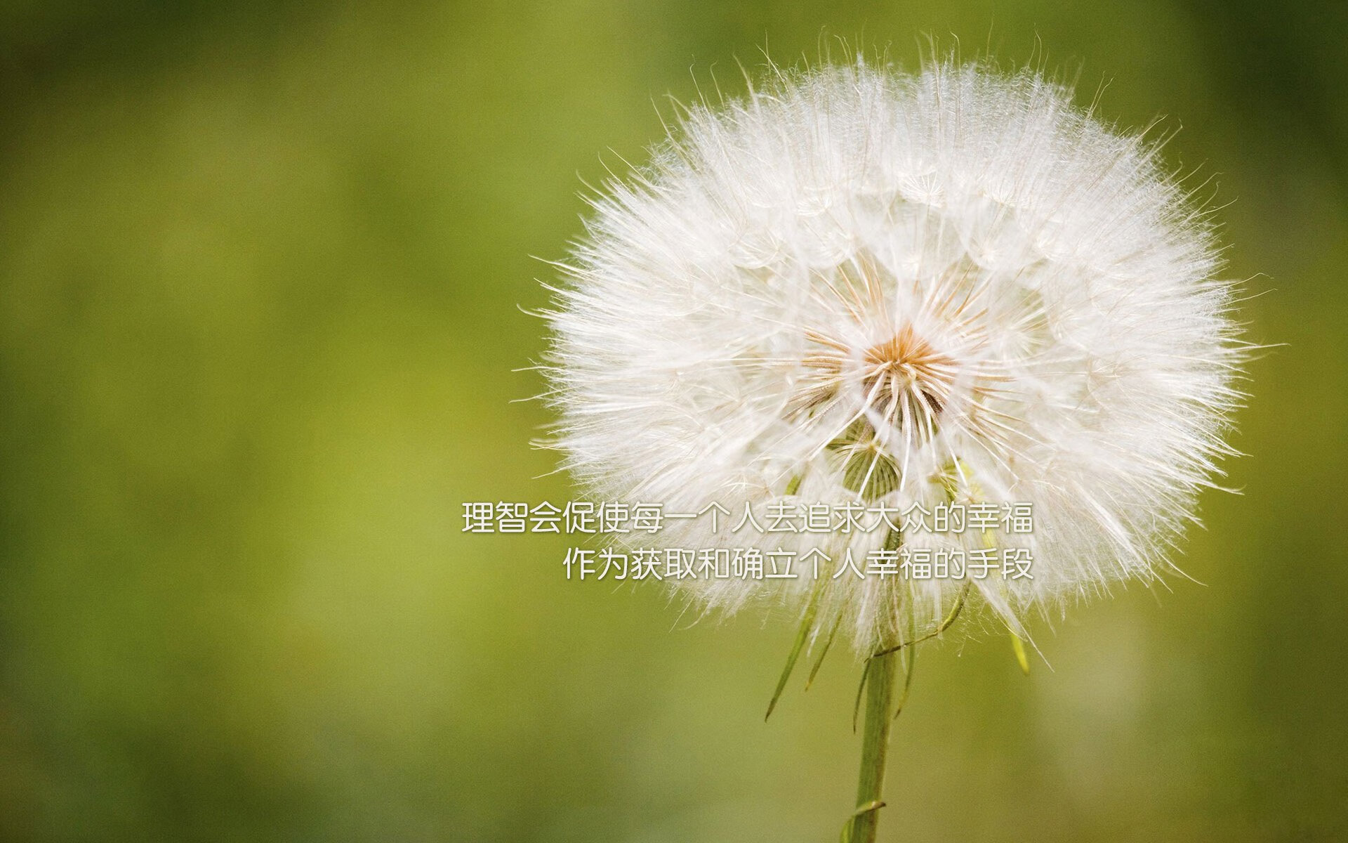 Kaiyun官方登录入口-三年划水幅度：中方略增，美方略降