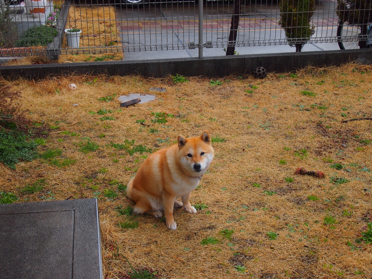 Kaiyun APP-中国三人篮球女队全员参与防守体系构建，中国三人篮球女队获得的成绩为