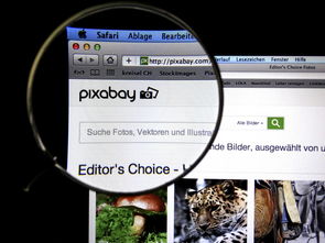 kaiyun登录入口-体育新闻中心发布体育短视频传播效果白皮书，体育短视频成为平台和用户的新宠