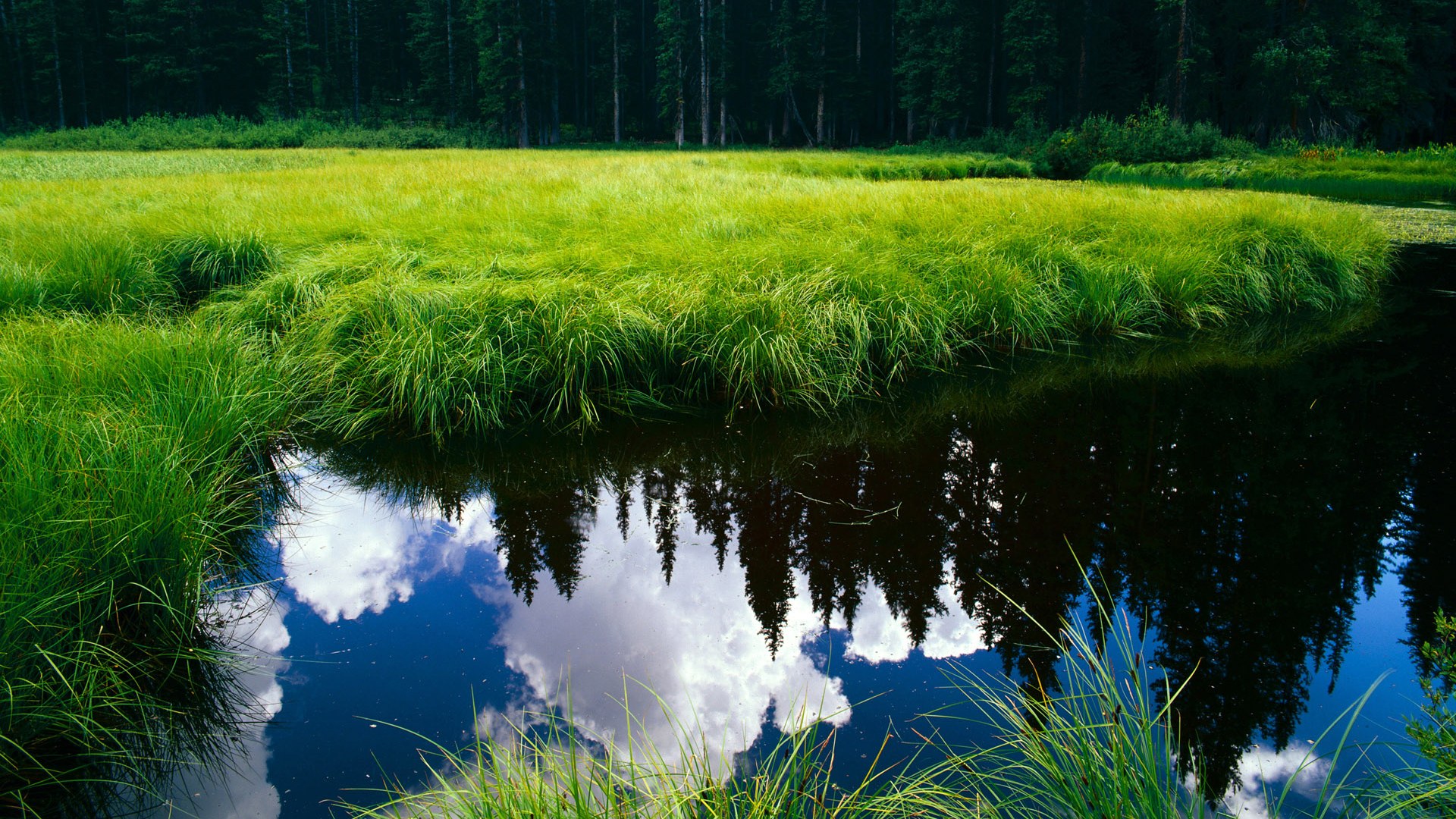 心理策略助力保级黑马完成逆境持续发挥路径，心理保障