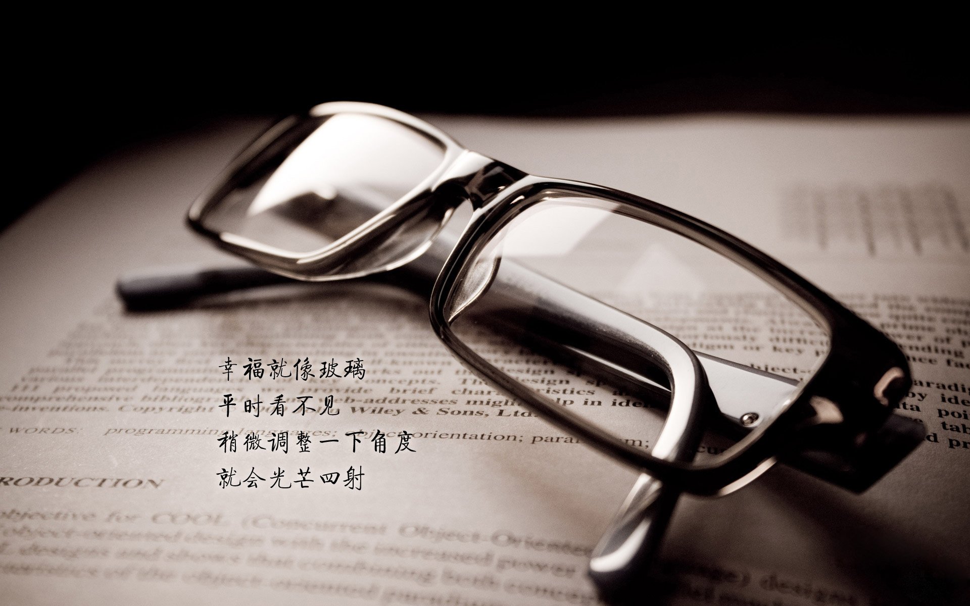 开云官方-深圳领航队通过系统训练提升整体竞技状态，深圳领航员青年队