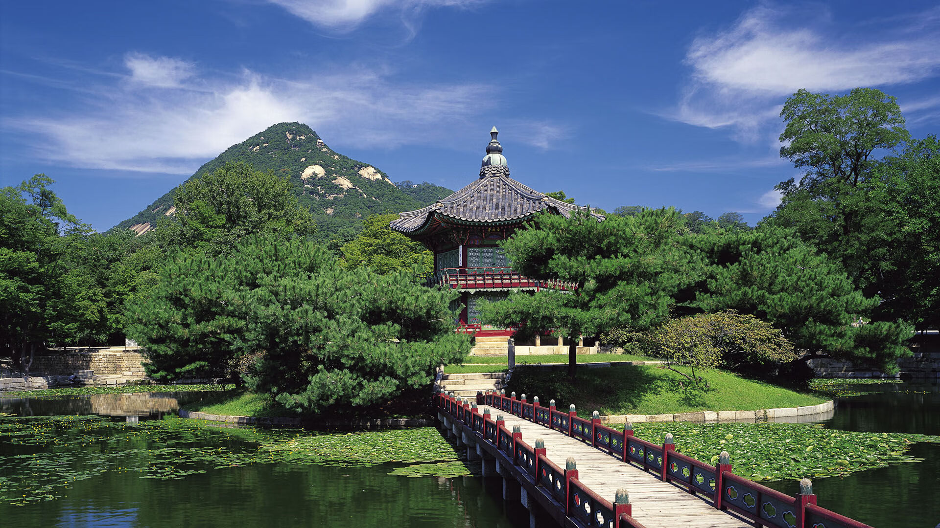 田径赛季新人崛起打破多项纪录，新田径规则