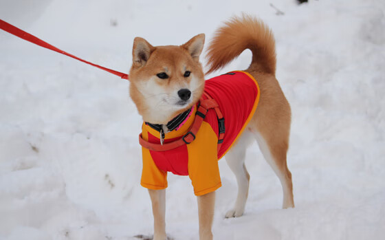 乔治数据爆表快船东部前四稳固，乔治快船续约