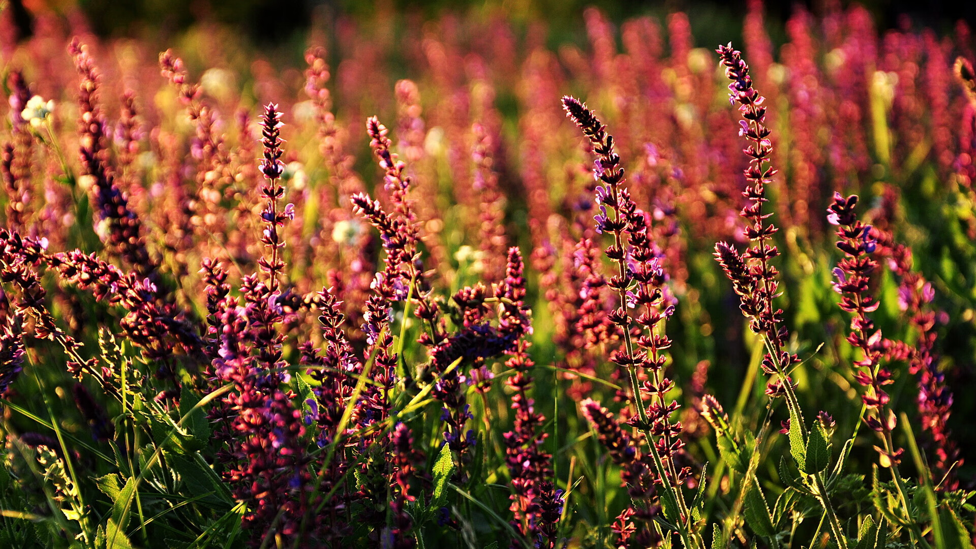 新闻中心发布杭州亚运会门票出售启动信息,杭州亚运会门票多少钱一张