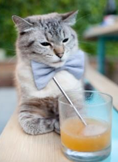 开云平台-赛尔·阿尔斯塔：精准的抢断和无畏的防守为南非队立下赫赫战功